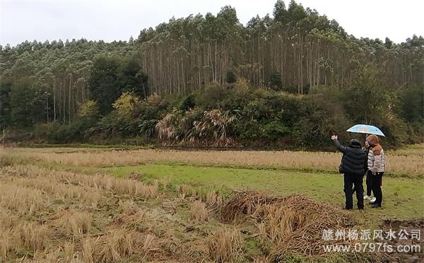 南投县陈老师带着爱徒寻龙点穴